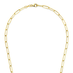 Parte Di Me Bibbiena Poppi Felice 925 Sterling Silver Gold Plated Schakel Necklace PDM34092