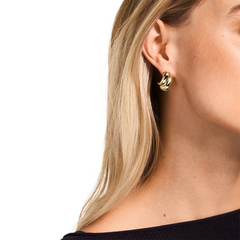 Emporio Armani Iconic Trend Brass Women's Earrings EGS3339710