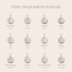 Violet Hamden Venus 925 Sterling Silver Necklace with Birthflower VH340026-APR