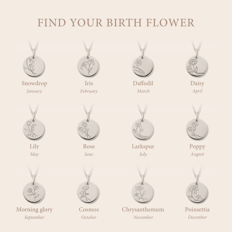 Violet Hamden Venus Collier en Argent 925 Sterling avec Fleur de Naissance VH340026-JAN-zoom-