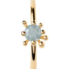 P D Paola Color 925 Sterling Silver Ring with Gold Plating AN01-C93-12